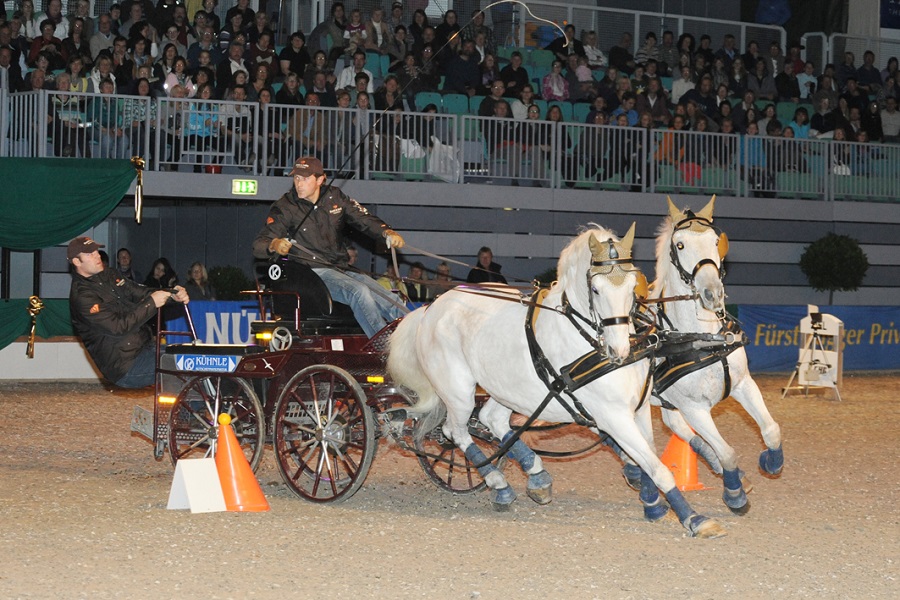 馬展，德國馬展，馬匹比賽