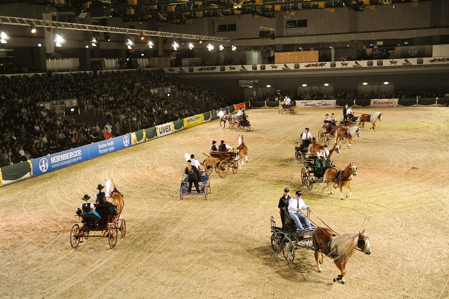 馬展，德國馬展，馬匹比賽