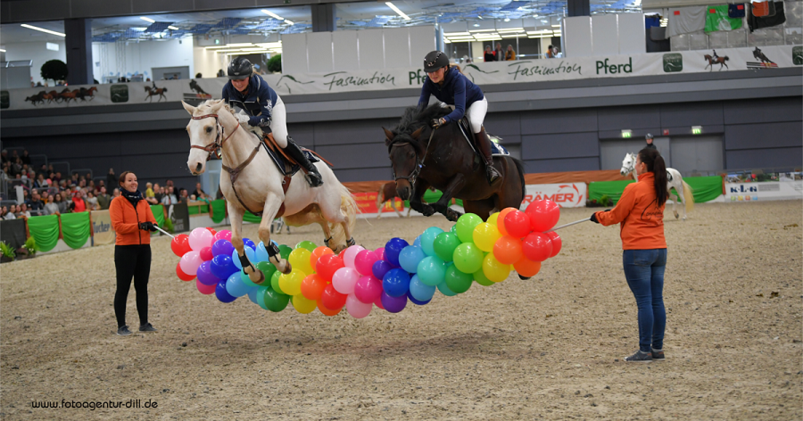 馬展，德國馬展，馬匹比賽